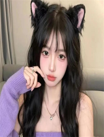 留下他打老蒋市场表现：票房成绩与观众接受度分析，加长版本